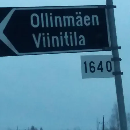 Ollinmaeki Vineyard Pensión