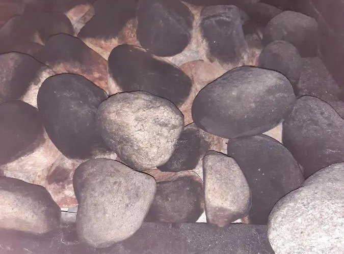 Ollinmäki Vineyard Konukevi