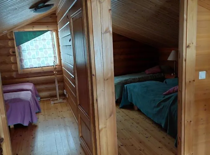 Konukevi Ollinmäki Vineyard Anttola