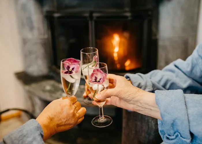 Ollinmaeki Vineyard 5* Anttola