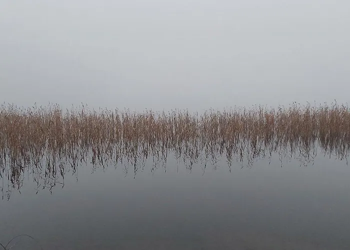 Ollinmaeki Vineyard 5*