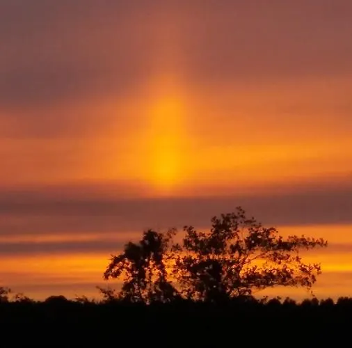 Ollinmäki Vineyard Konukevi 5*